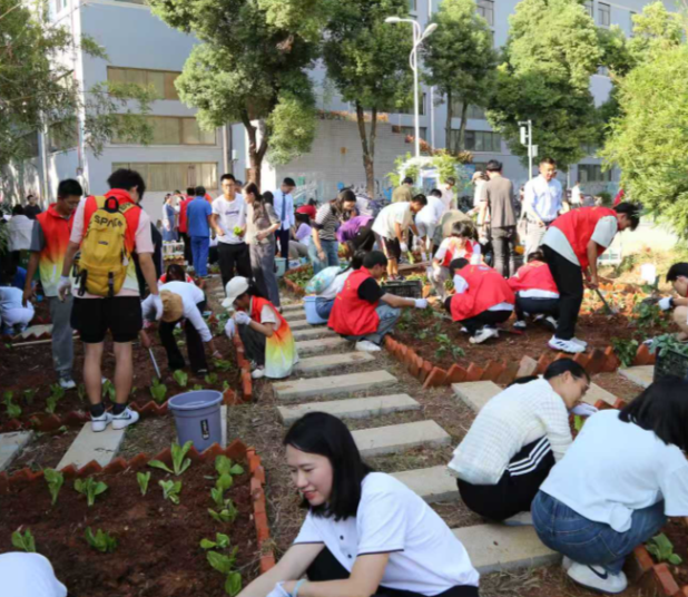 期间的劳作教育课提升了我的着手能力对我的实习工作帮助很大 期间的劳作教育课提升了我的着手能力对我的实习工作帮助很大